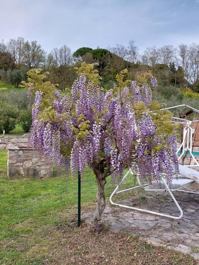Agriturismo Camera Rosa Todi Exteriér fotografie